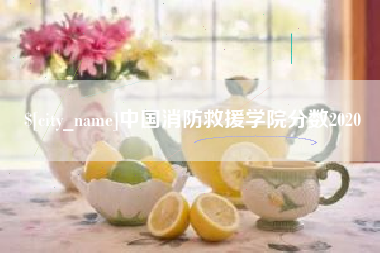 德州中国消防救援学院分数2020