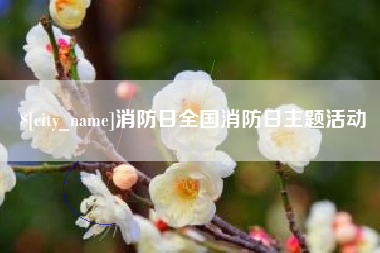德州消防日全国消防日主题活动