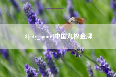 德州中国九枚金牌