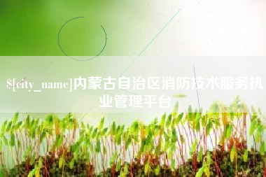 德州内蒙古自治区消防技术服务执业管理平台