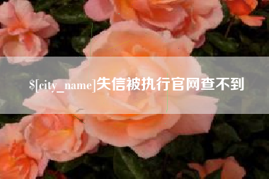 德州失信被执行官网查不到