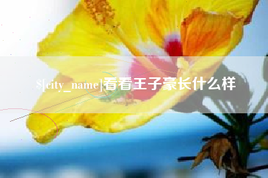 德州看看王子豪长什么样