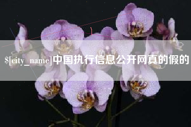 德州中国执行信息公开网真的假的