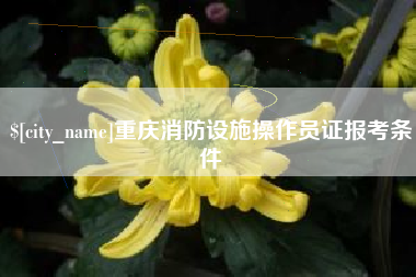 德州重庆消防设施操作员证报考条件