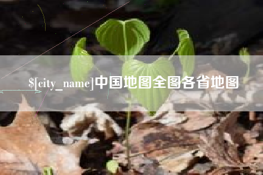 德州中国地图全图各省地图