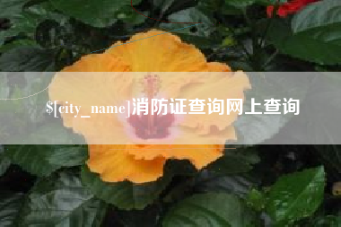 德州消防证查询网上查询