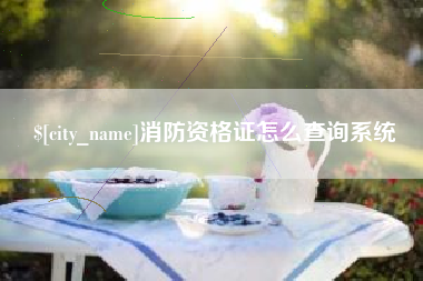 德州消防资格证怎么查询系统