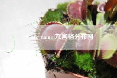 德州九宫格分布图
