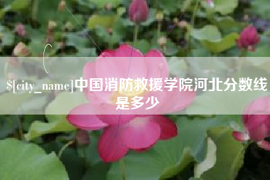 德州中国消防救援学院河北分数线是多少
