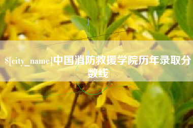 德州中国消防救援学院历年录取分数线