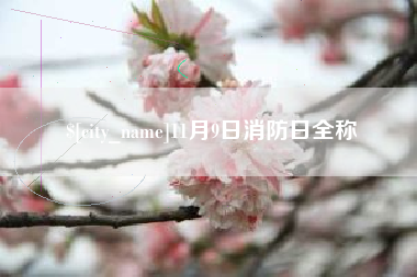 德州11月9日消防日全称