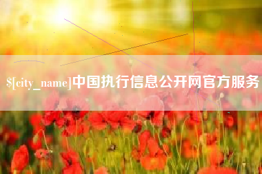 德州中国执行信息公开网官方服务