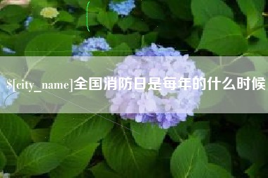 德州全国消防日是每年的什么时候