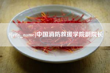 德州中国消防救援学院副院长