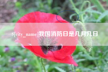 德州我国消防日是几月几日