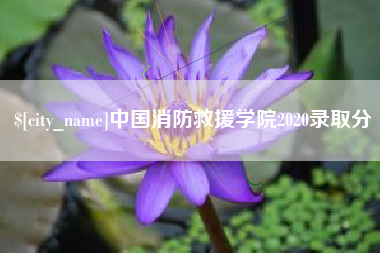 德州中国消防救援学院2020录取分