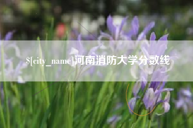 德州河南消防大学分数线