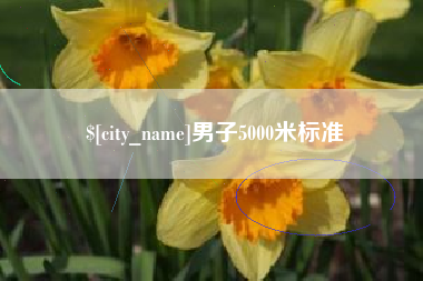 德州男子5000米标准