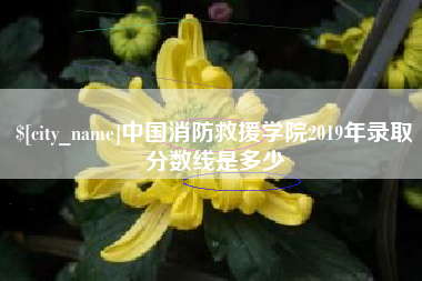 德州中国消防救援学院2019年录取分数线是多少