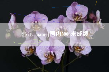 德州国内5000米成绩
