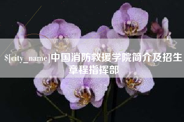 德州中国消防救援学院简介及招生章程指挥部