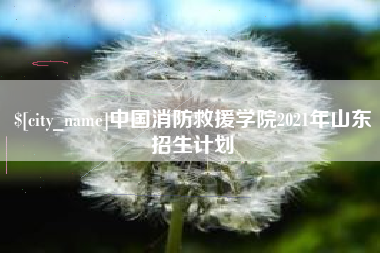 德州中国消防救援学院2021年山东招生计划