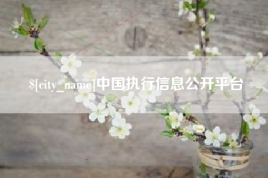 德州中国执行信息公开平台