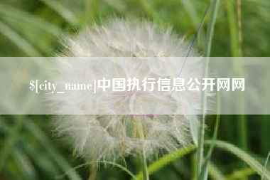 德州中国执行信息公开网网