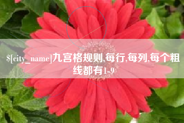 德州九宫格规则,每行,每列,每个粗线都有1-9