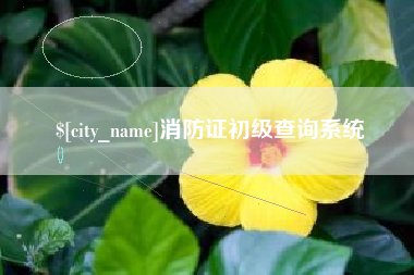 德州消防证初级查询系统