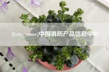 德州中国消防产品信息中心