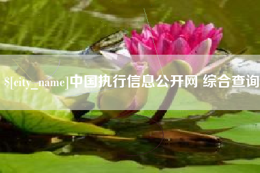 德州中国执行信息公开网 综合查询