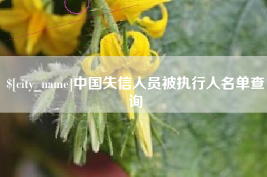 德州中国失信人员被执行人名单查询