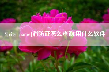 德州消防证怎么查询,用什么软件