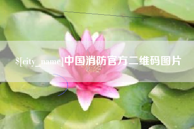 德州中国消防官方二维码图片