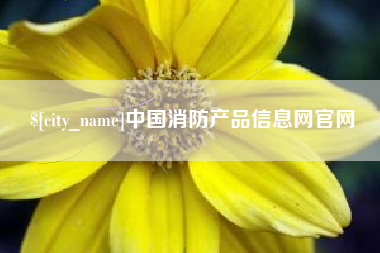 德州中国消防产品信息网官网