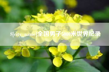 德州全国男子5000米世界纪录