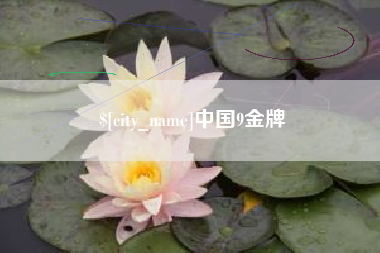 德州中国9金牌