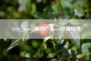 德州消防产品cccf认证目录