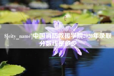 德州中国消防救援学院2020年录取分数线是多少