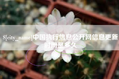 德州中国执行信息公开网信息更新时间是多久