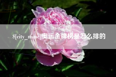 德州奥运金牌榜是怎么排的