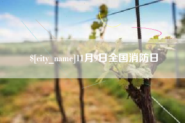 德州11月9日全国消防日