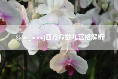 德州西方命数九宫格解析