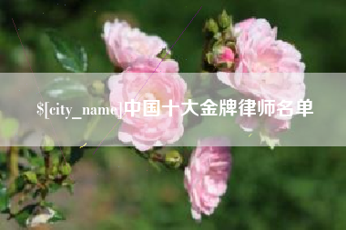 德州中国十大金牌律师名单