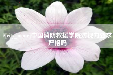 德州中国消防救援学院对视力要求严格吗