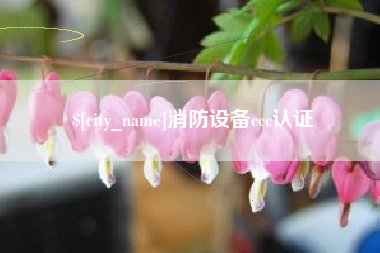 德州消防设备ccc认证