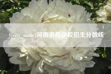 德州河南消防学校招生分数线