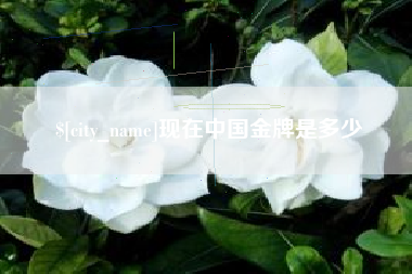 德州现在中国金牌是多少