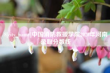 德州中国消防救援学院2020年河南录取分数线